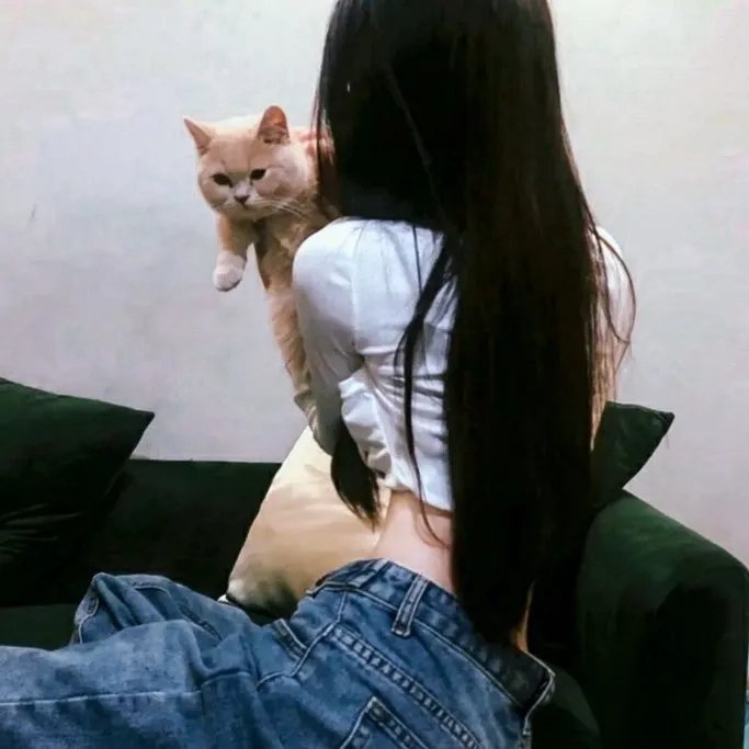 词语